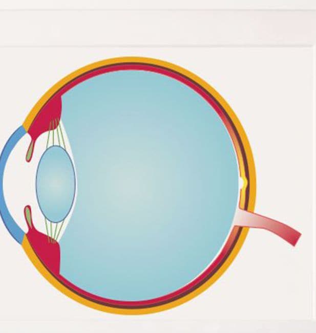 85 das-auge_banner